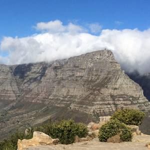 Meet your Posher, Wilder